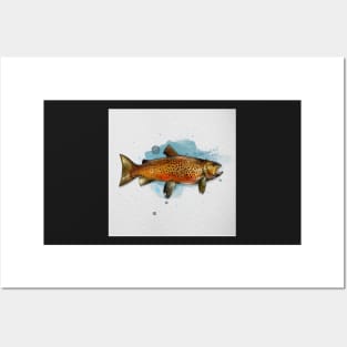 Swedish Brown Trout Posters and Art